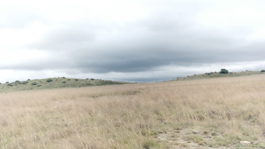 5 Bedroom Property for Sale in Dewetsdorp Rural Free State